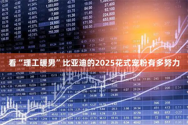 看“理工暖男”比亚迪的2025花式宠粉有多努力
