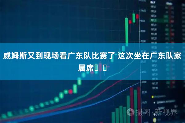 威姆斯又到现场看广东队比赛了 这次坐在广东队家属席❤️