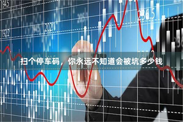 扫个停车码，你永远不知道会被坑多少钱
